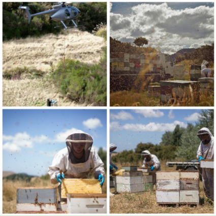 Melita蜂蜜加工生产工艺