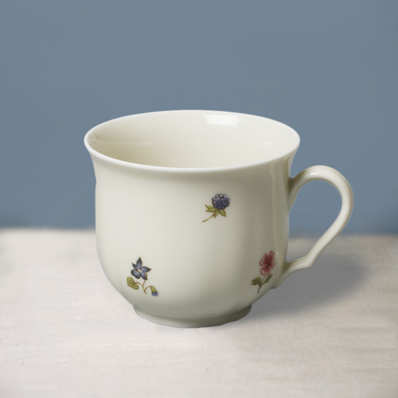 Seltmann Weiden陶瓷咖啡杯茶杯 德国原产彩色小花系列210ml