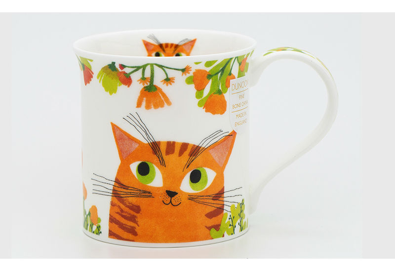 英国DUNOON丹侬骨瓷杯马克杯灵动的猫咪橙色茶杯图案